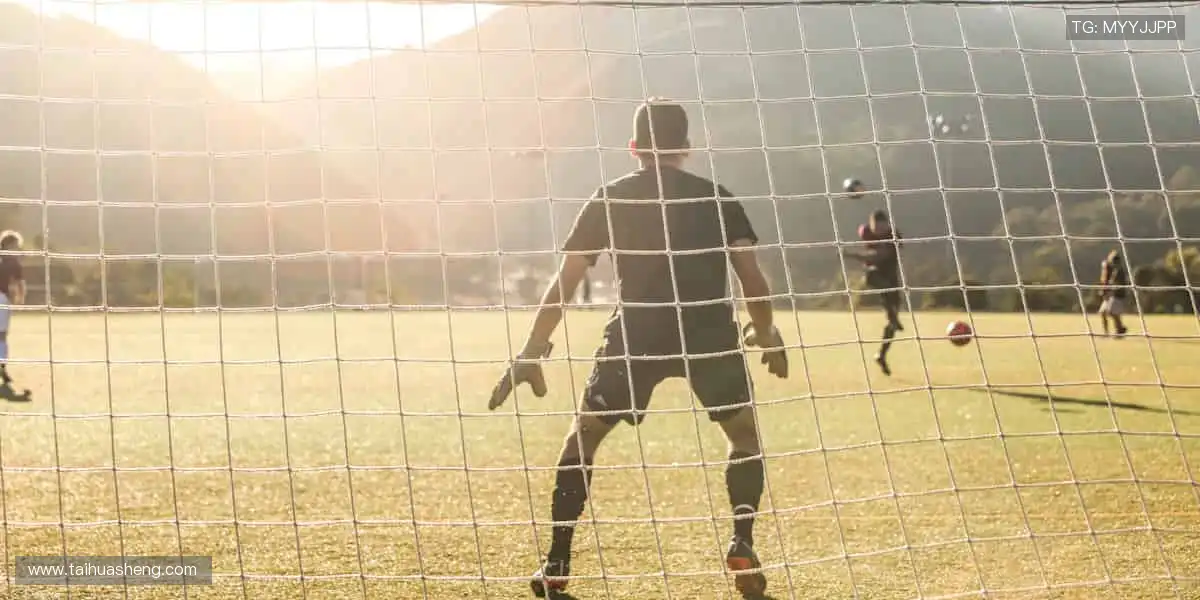 一键下单，即刻拥有！🛒 正版周边，为偶像打 call 的仪式感拉满！